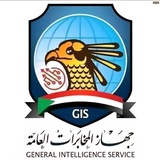 هيئة العمليات GIS