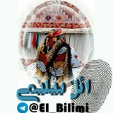 Elbilimi