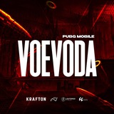 VOEVODA 🇷🇺