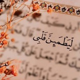 آيات قرآنية