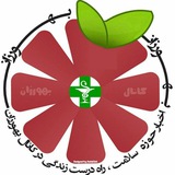 کانال خبری بهورزان ایران