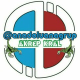 Anadolu Ana Grup