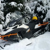 Александр Пушкарёв