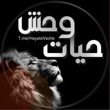 🐆حیات وحش 🐅