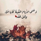 مقتبسات دينية 🕊 💛