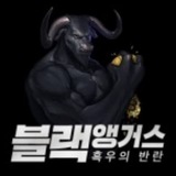 블랙앵거스 리서치 BlackAngus Research