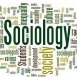 الرخصة المهنية علم الاجتماع Sociology
