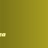 GRUPO BET7