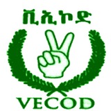 VECOD GLOBAL LEADERS