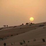 راهي .