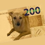 CORREIO REAU| Notícias/Anúncios