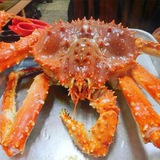 美食素材圈