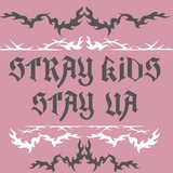 Stray Kids 🎙 Stay UA 🏆