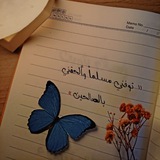 لِـٰٚـِِْـٰٚـِْطِـٰٚـِِْـٰٚـِْفِ͒ـٰٚـِِْـٰٚـِْ