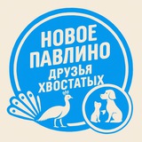 Друзья Хвостатых