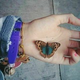 يوتوبيا 🦋 💜
