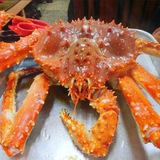美食素材 《圈》