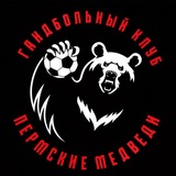 Гандбольный клуб «Пермские медведи»