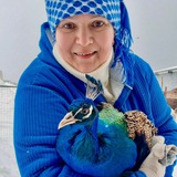 🙋♀Семейная ферма🦃