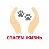 СПАСЕМ ЖИЗНЬ | Волонтерское движение в защиту животных
