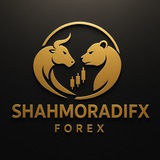 Shahmoradifx