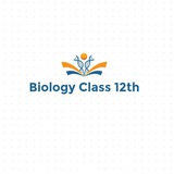 Cbse Sample papers