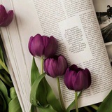 هدوء_Quiet 💜 '