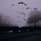 فَوضىٰ.
