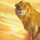IMRAN KHAN™ 9748133082