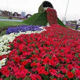 🌿قصص وعبر من حياة الأنبياء والصالحين والتابعين 🌹
