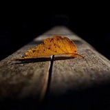 قرآن حياتي