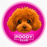 🐾 POODY CLUB 🐾 Той Пудель 🐾 Мальтіпу