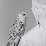 « ᷂الـعـَام ᷂»٢