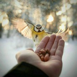 امثال وحكم