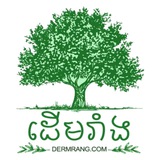 ដើមរាំង Dermrang daily