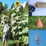 Electroculture farming & gardening