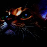 Amoled Wallpapers (No ads/promotions)
