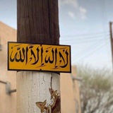 — بَذْرَةُخَيْر☾︎َِ || 📚