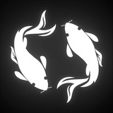 Dogukan Nergiz -ZDN Team Ebay Dropshipping