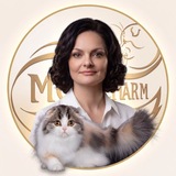 Питомник Шотландских кошек Mos Charm
