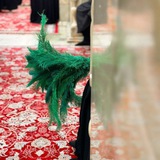 تنـهيدة روح 🌱 .