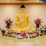 ☸️ 🌼 BUDDHA POOJA<i class="emoji" style="background-image