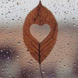 ومَا الحُبّ إلا دُعاء 🌸 ..