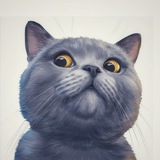 Котики & Co - пушистый позитив 😺 🐾