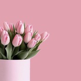 وِد الرَّحـمٰـن 🪞 .