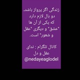 ندای عقل و دل