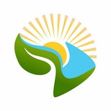 Картинка канала