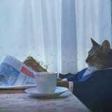 Репортер