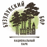Бузулукский бор
