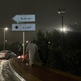 ديّار